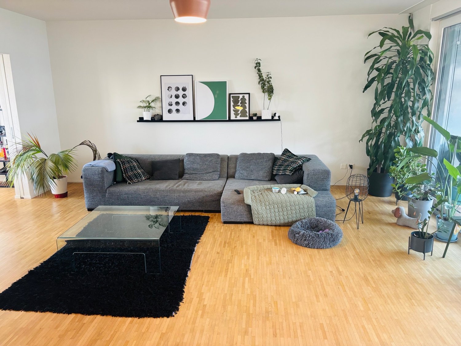 Room in a shared flat, Foto 1 von 10
