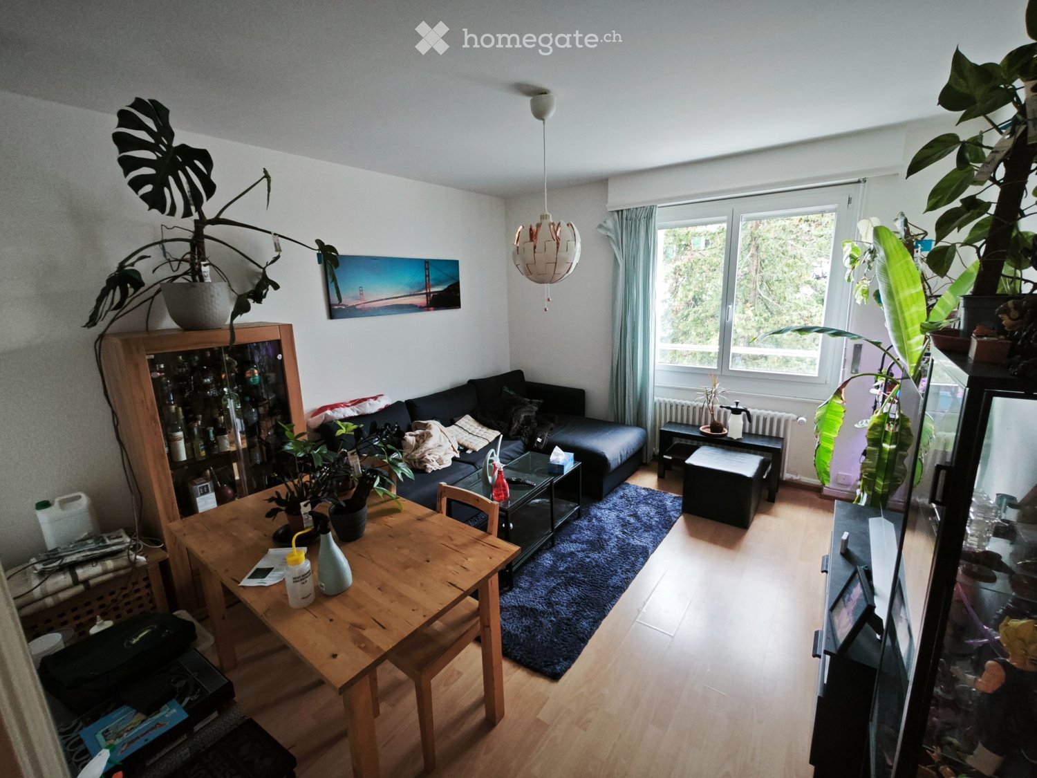 Appartamento di 3 ½ locali