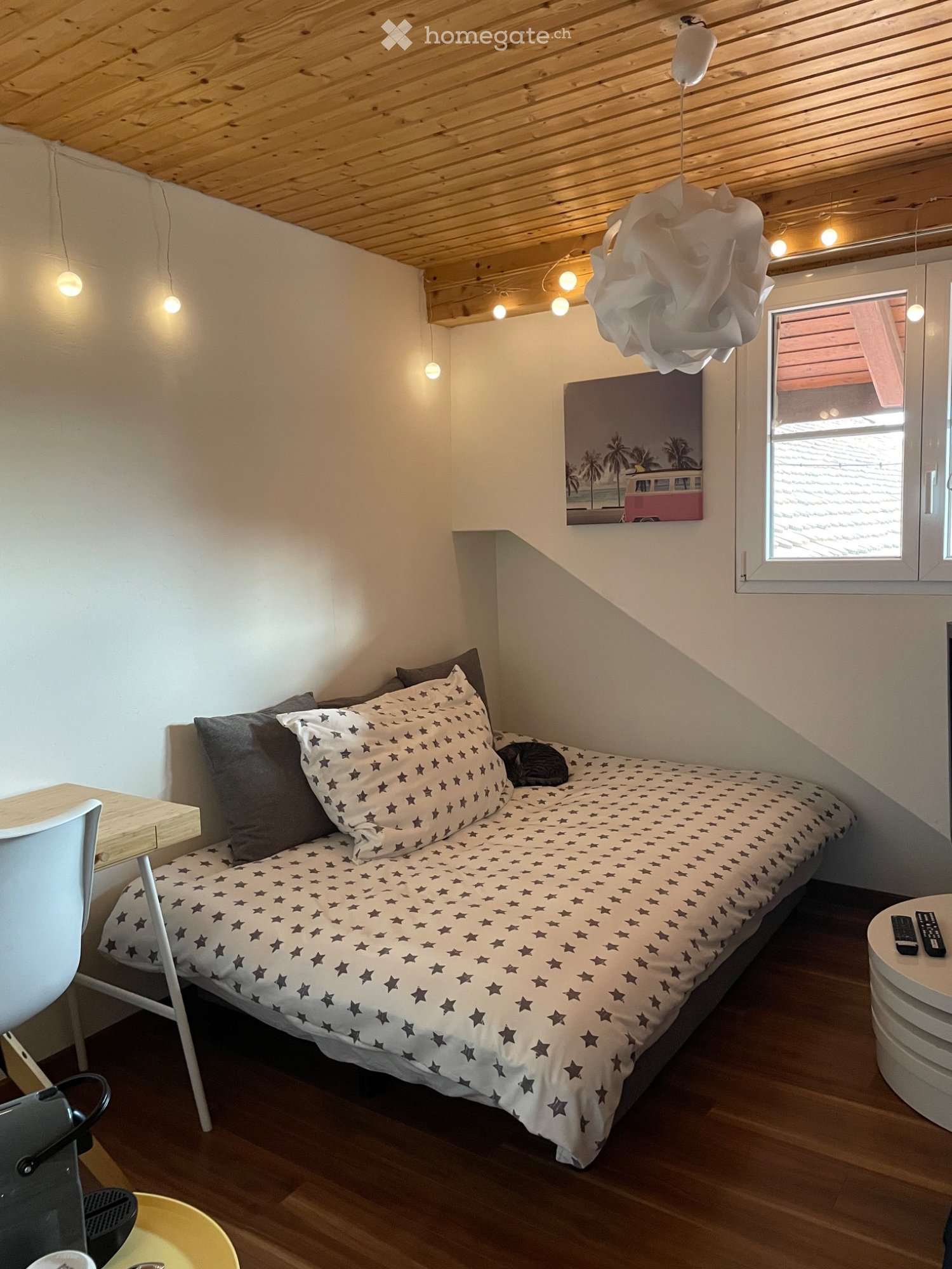 1 Zimmer Einzelzimmer