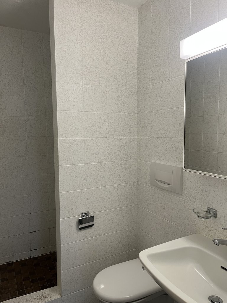 4 ½ pièces appartement mansardé