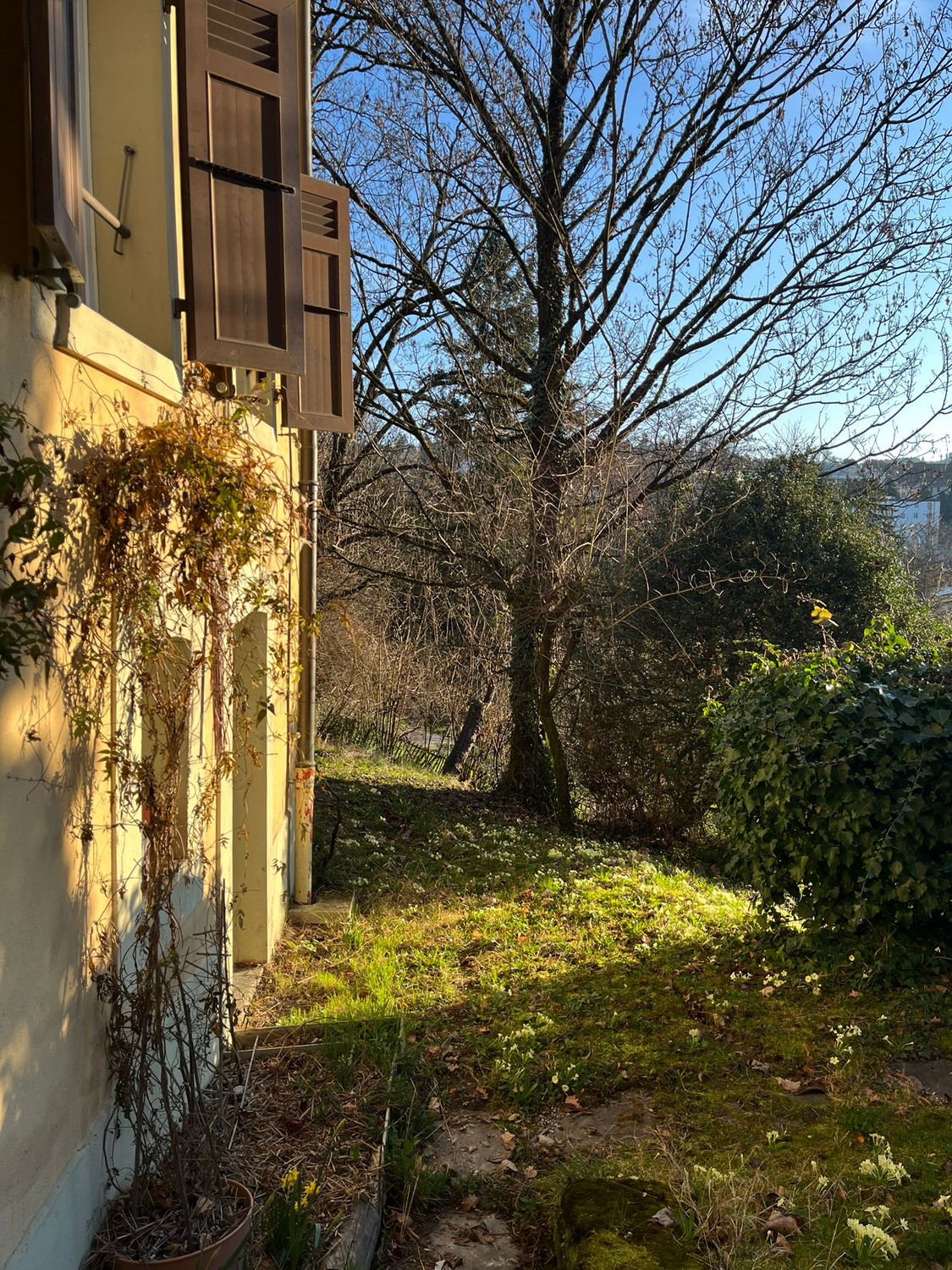 3-Zimmer-Wohnung