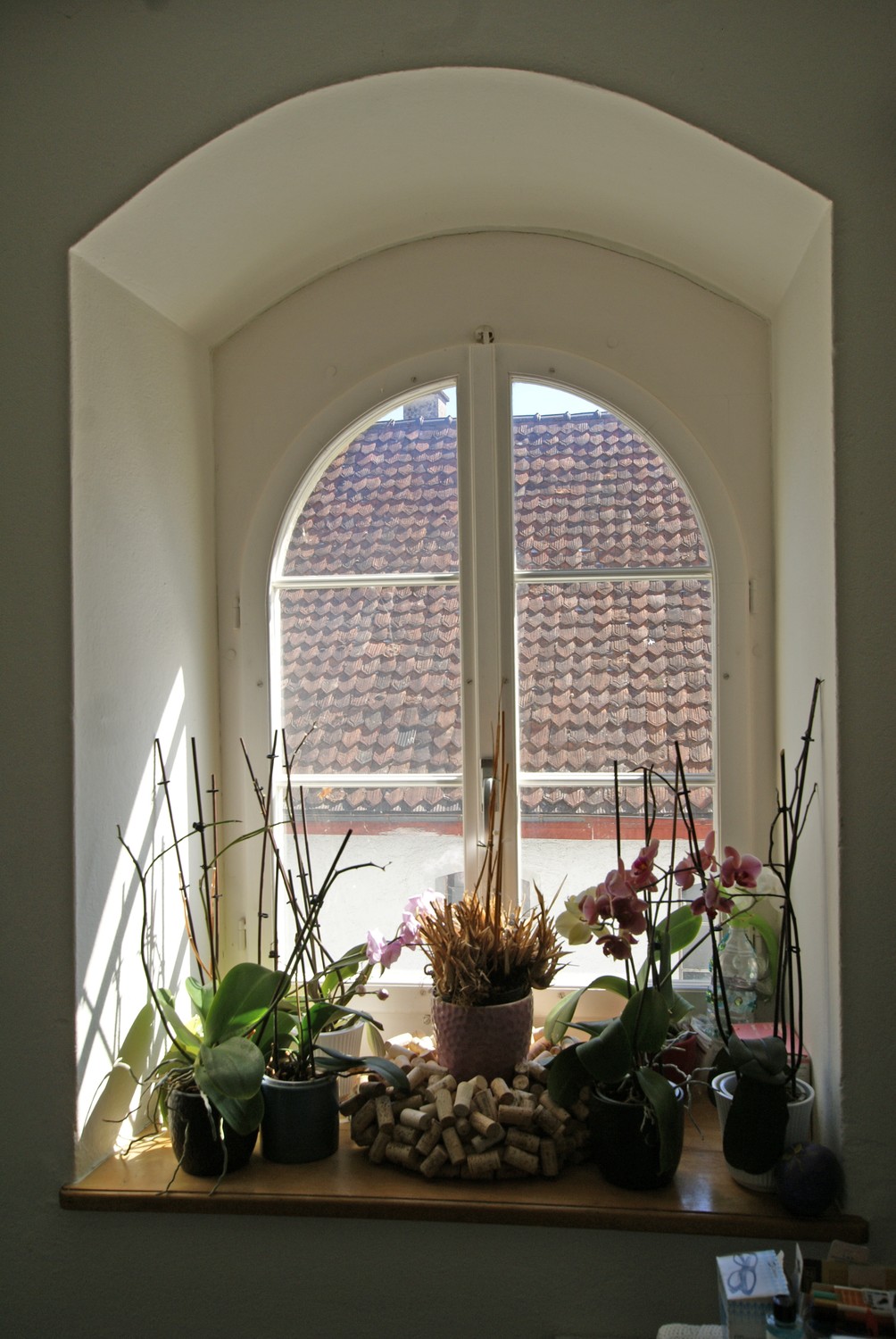 2855m² building land, Foto 6 von 6