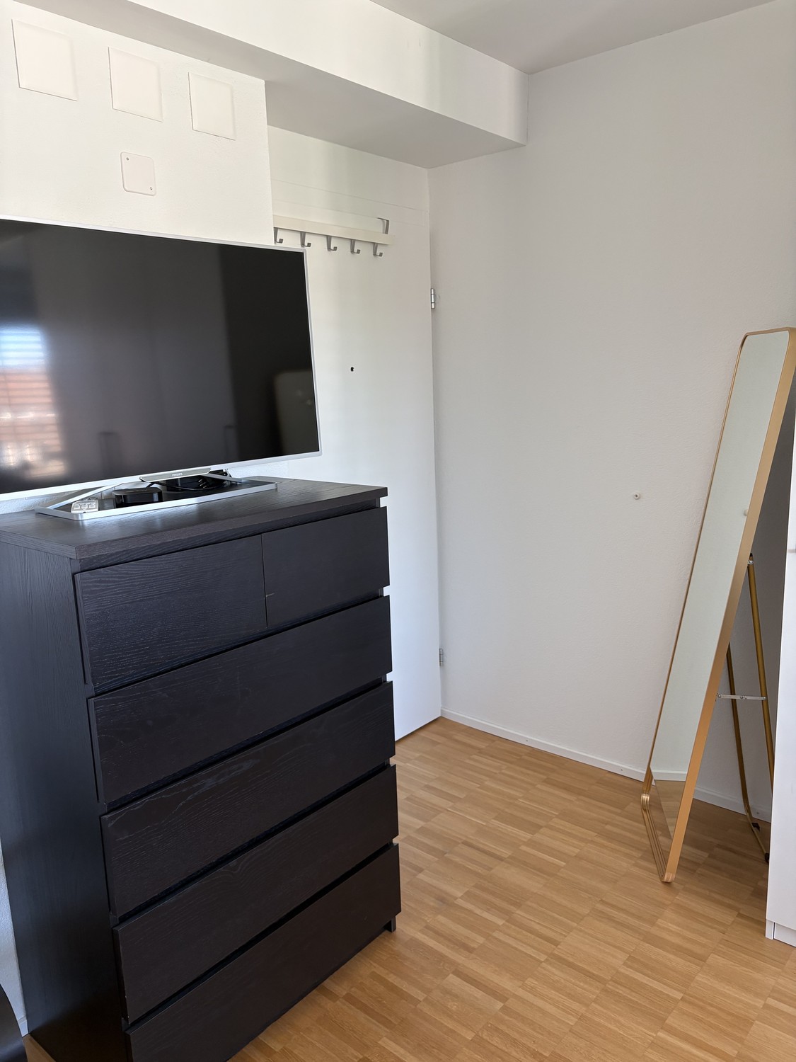 1 room apartment
