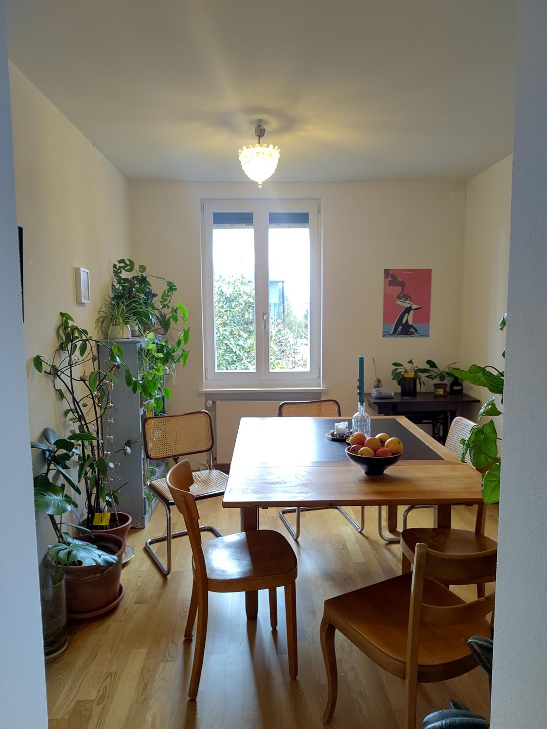 Room in a shared flat, Foto 7 von 7