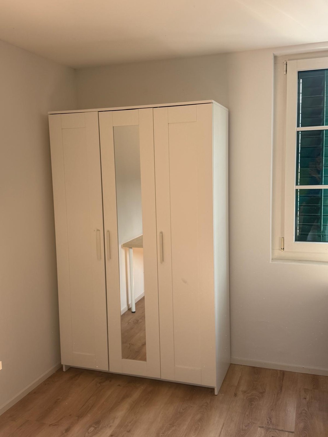 Room in a shared flat
