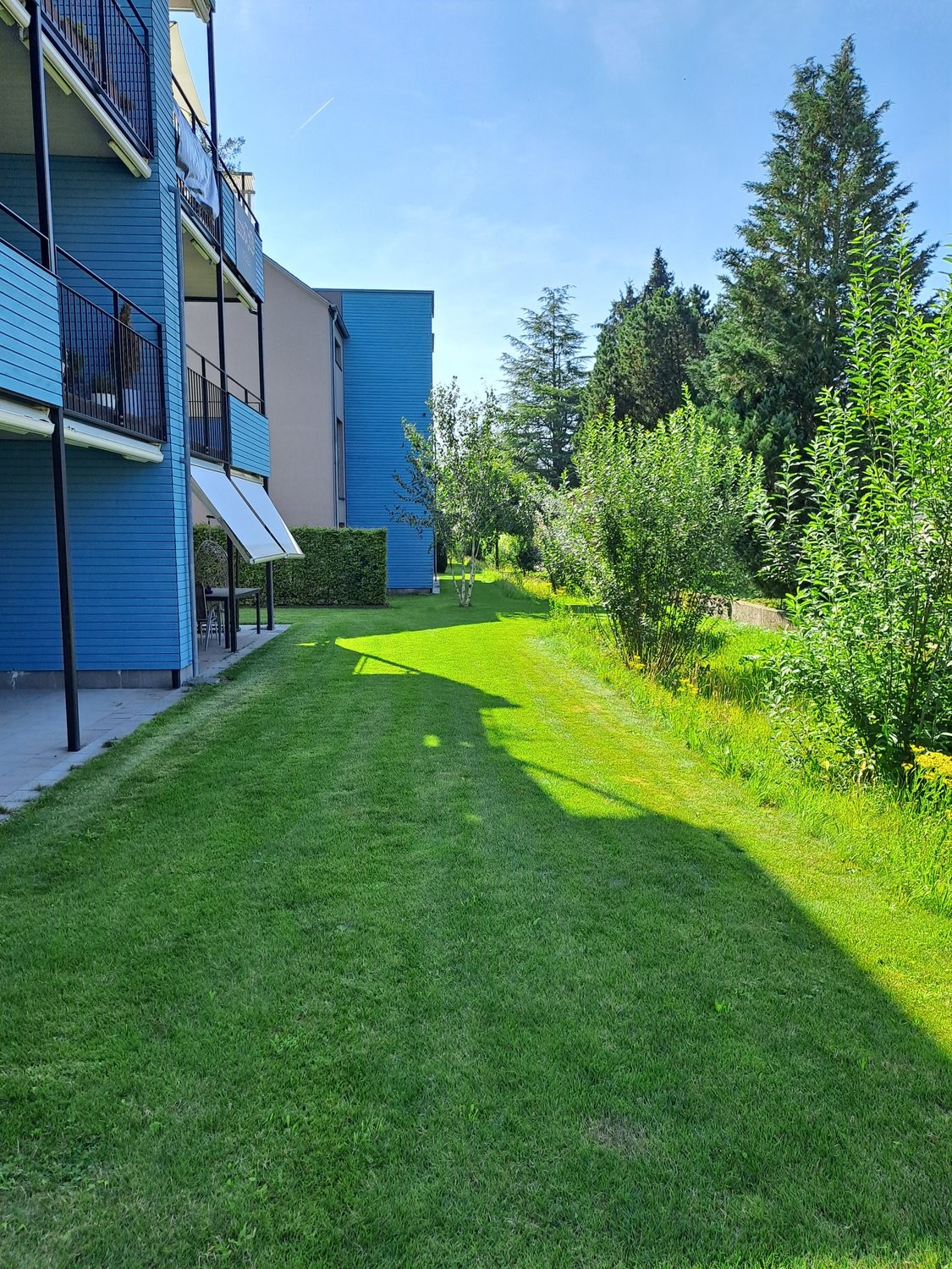 2 ½ rooms apartment, Foto 6 von 8