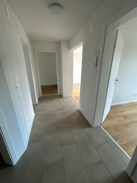 3 ½ rooms bachelor flat