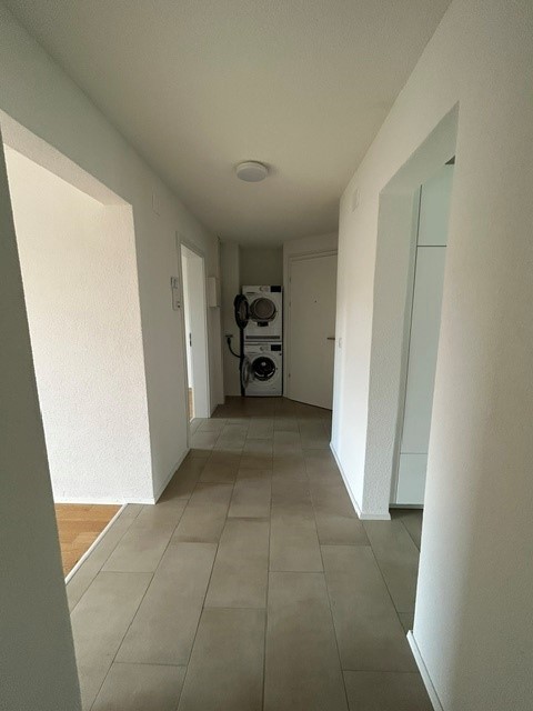 3 ½ rooms bachelor flat
