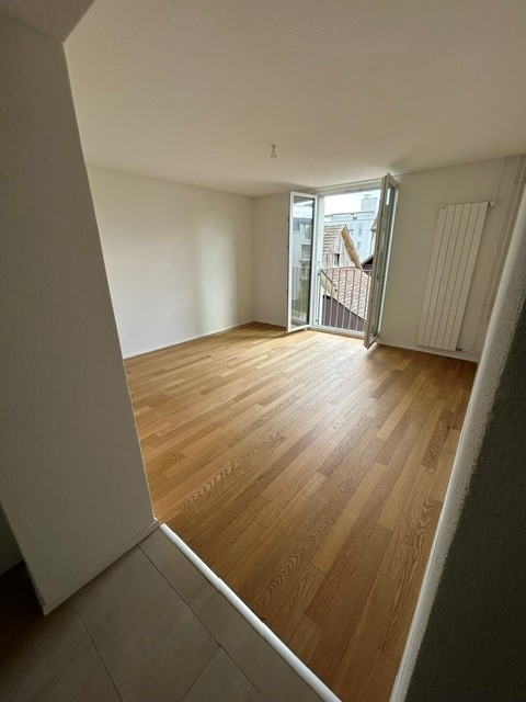 3 ½ rooms bachelor flat