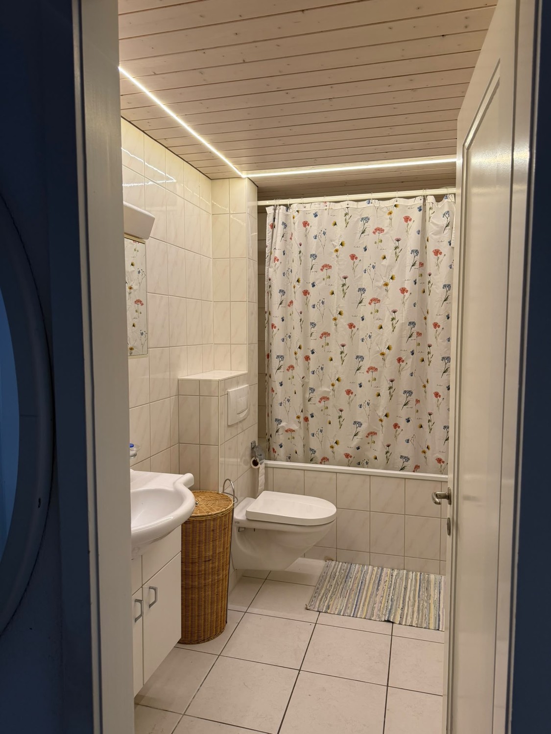 2 ½ Zimmer-Wohnung
