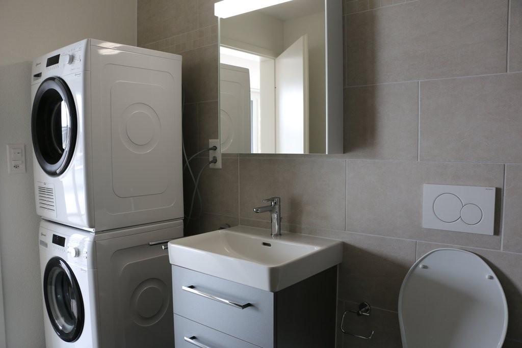 4 ½ rooms apartment (5)