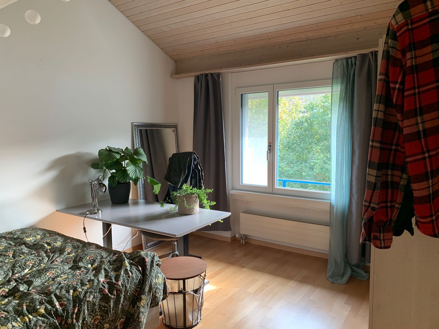 Room in a shared flat