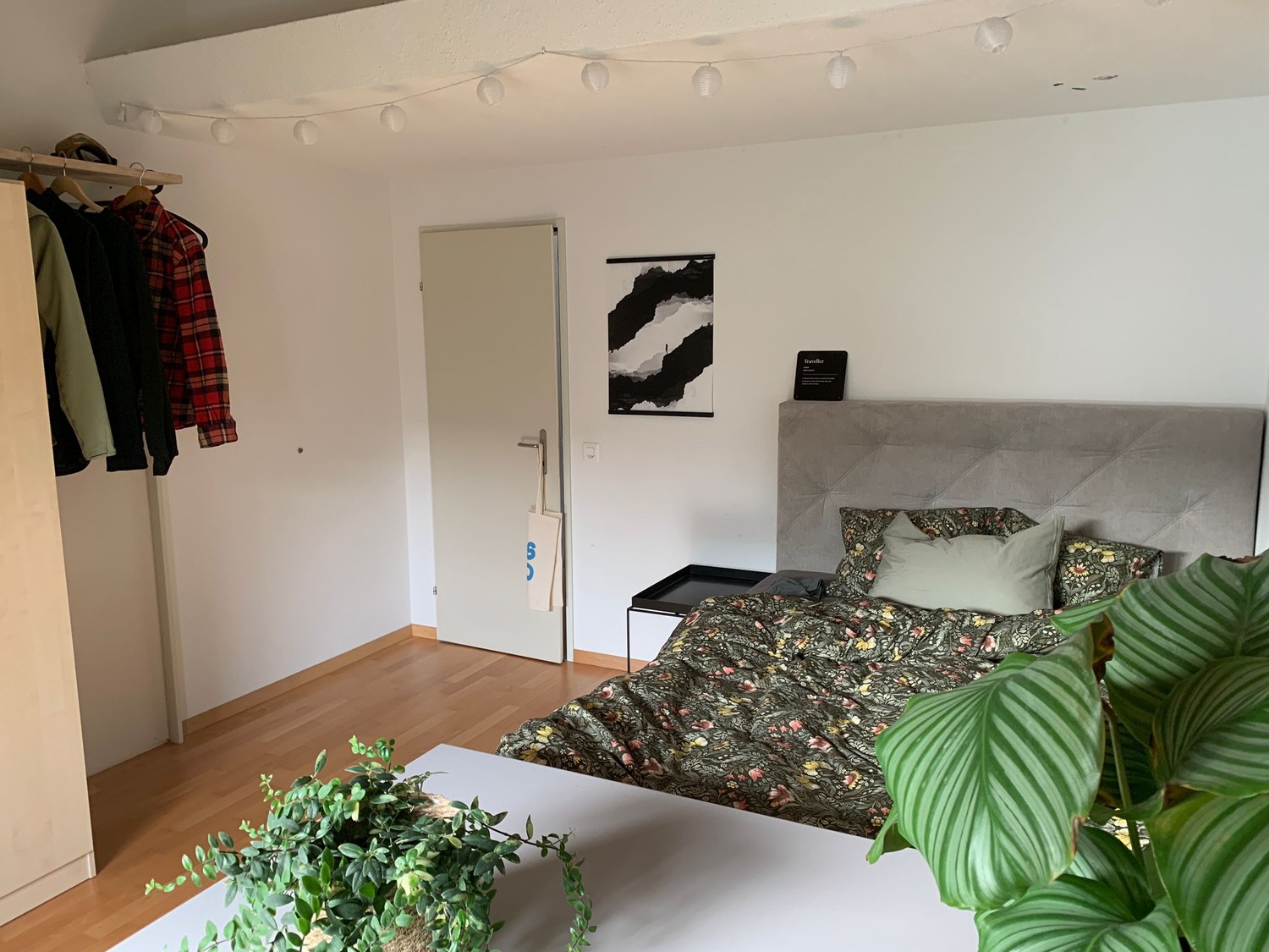 Room in a shared flat