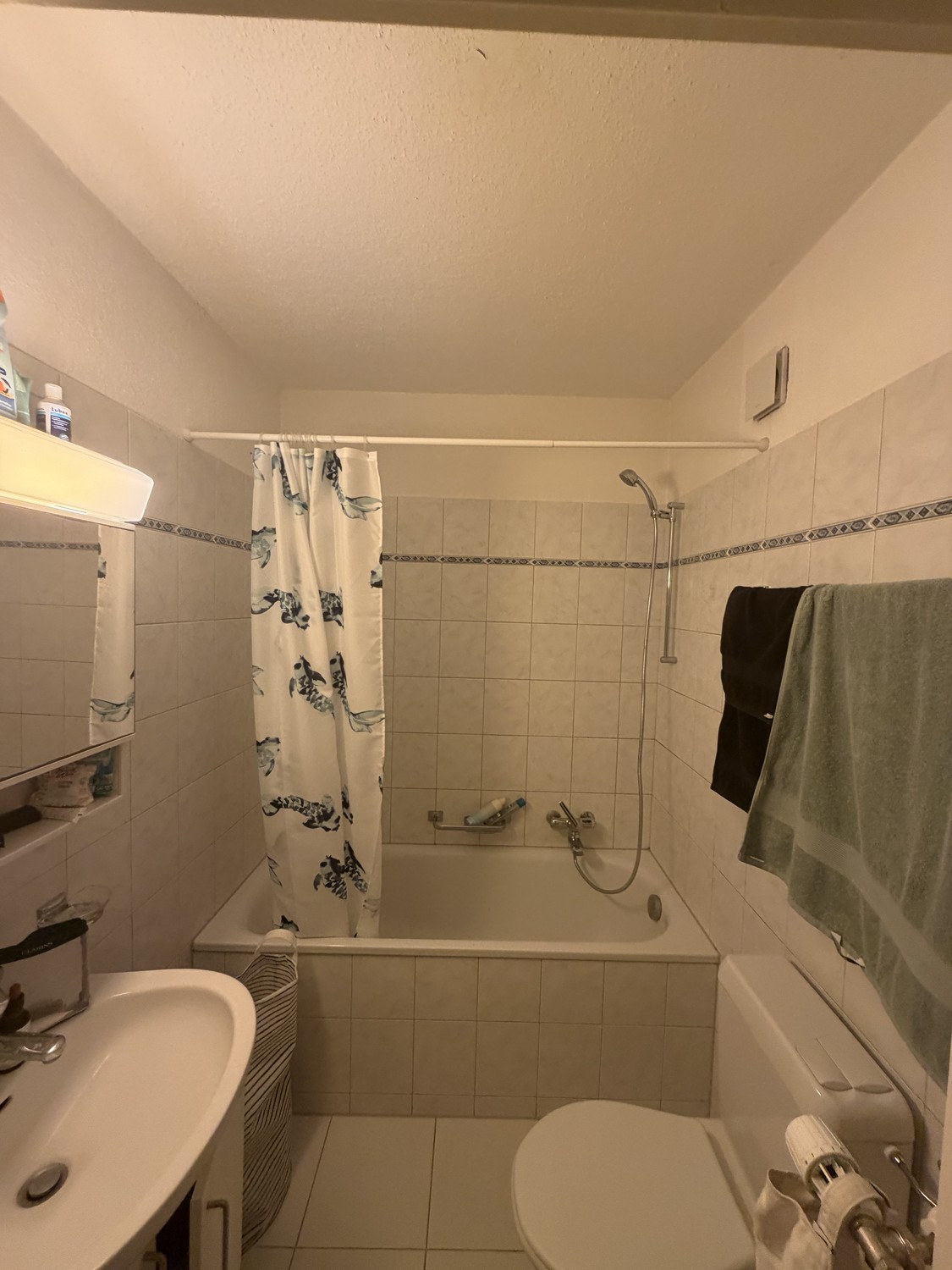 2 ½ Zimmer-Wohnung
