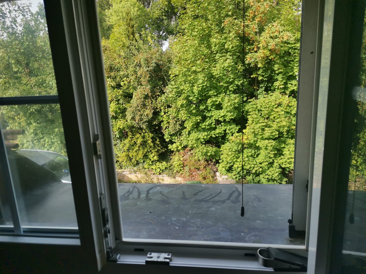 Chambre dans une colocation