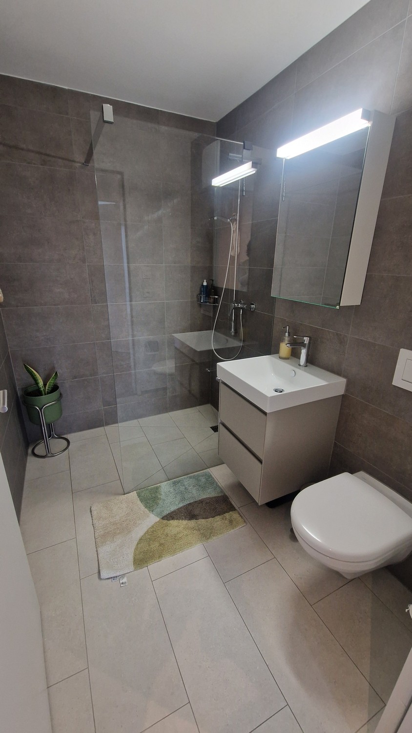 2 ½ rooms apartment