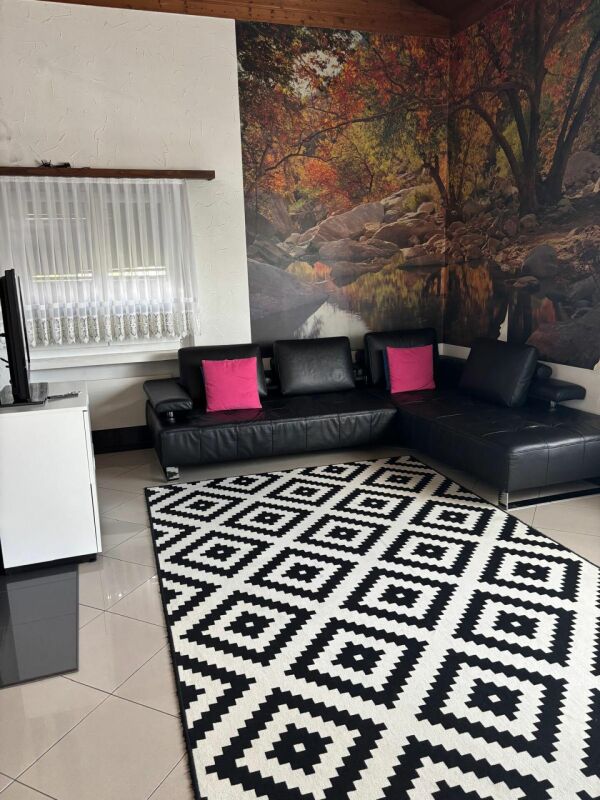 Maison individuelle de 5 ½ pièces, photo 4 sur 10