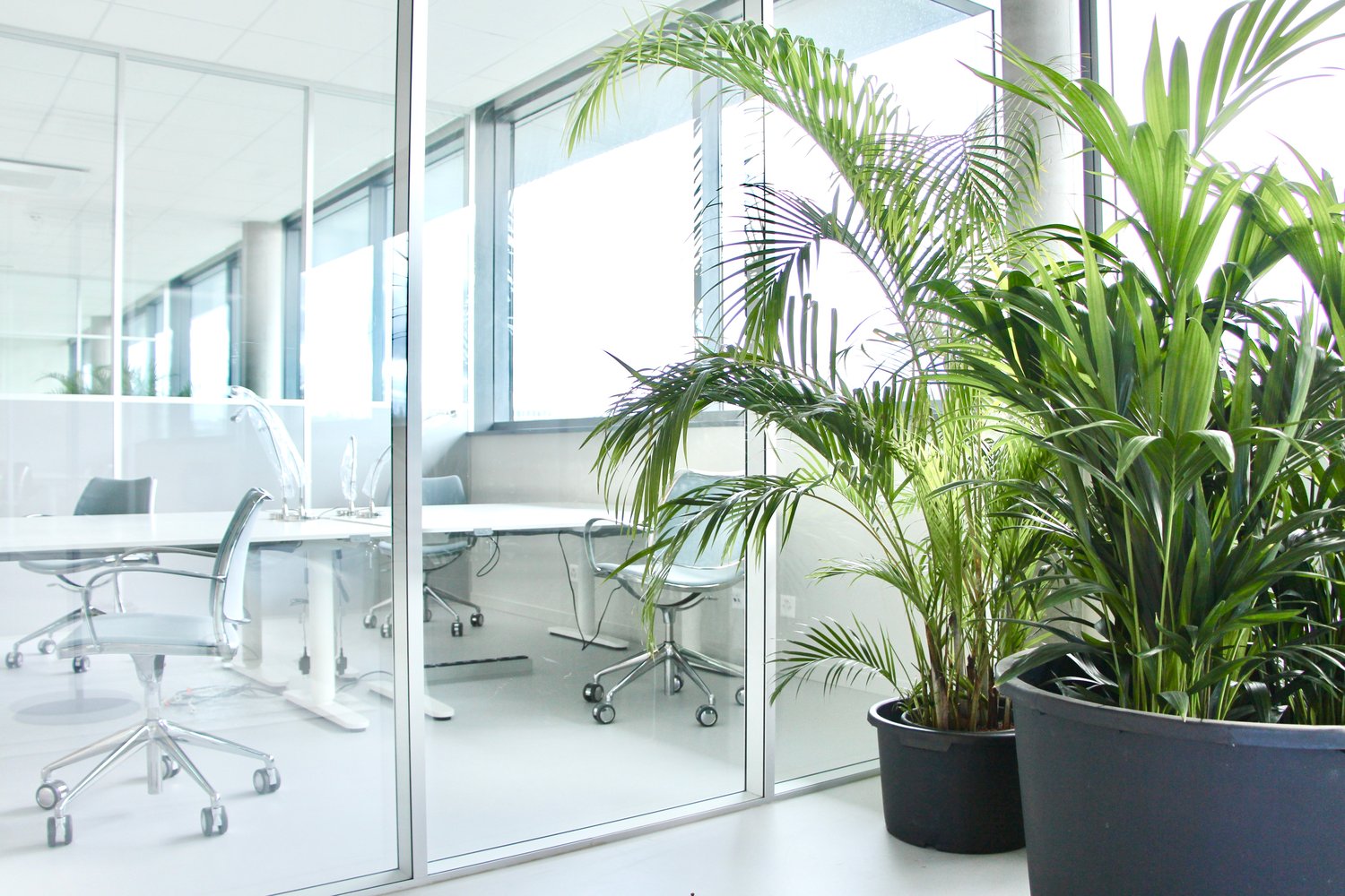 Büro, Foto 6 von 7