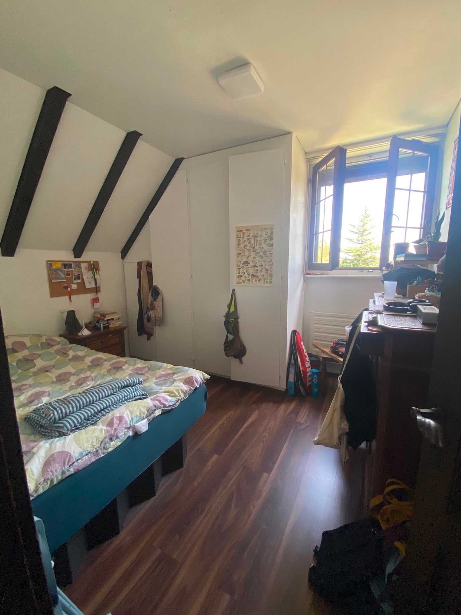 Zimmer in einer Wohngemeinschaft, Foto 4 von 6
