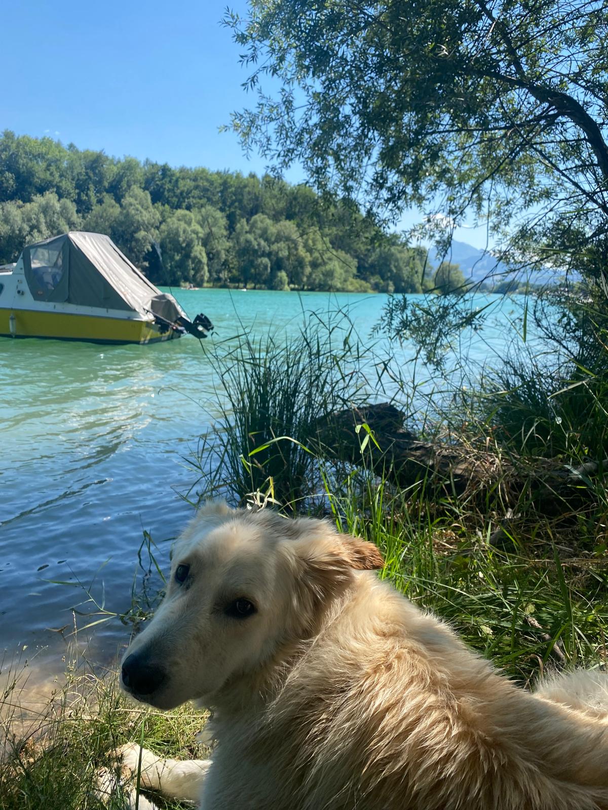 Zimmer in einer Wohngemeinschaft, Foto 6 von 6