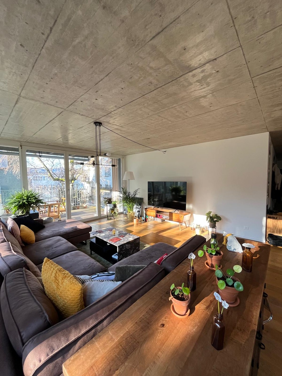Room in a shared flat