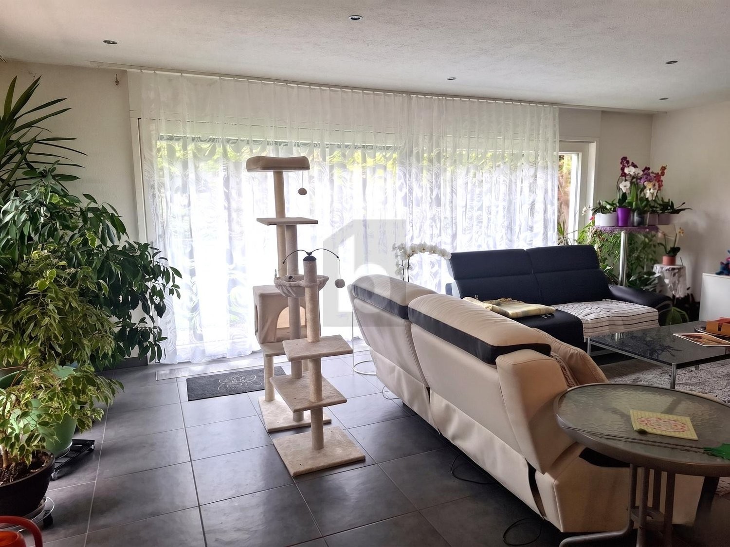 3-Zimmer-Reihenhaus
