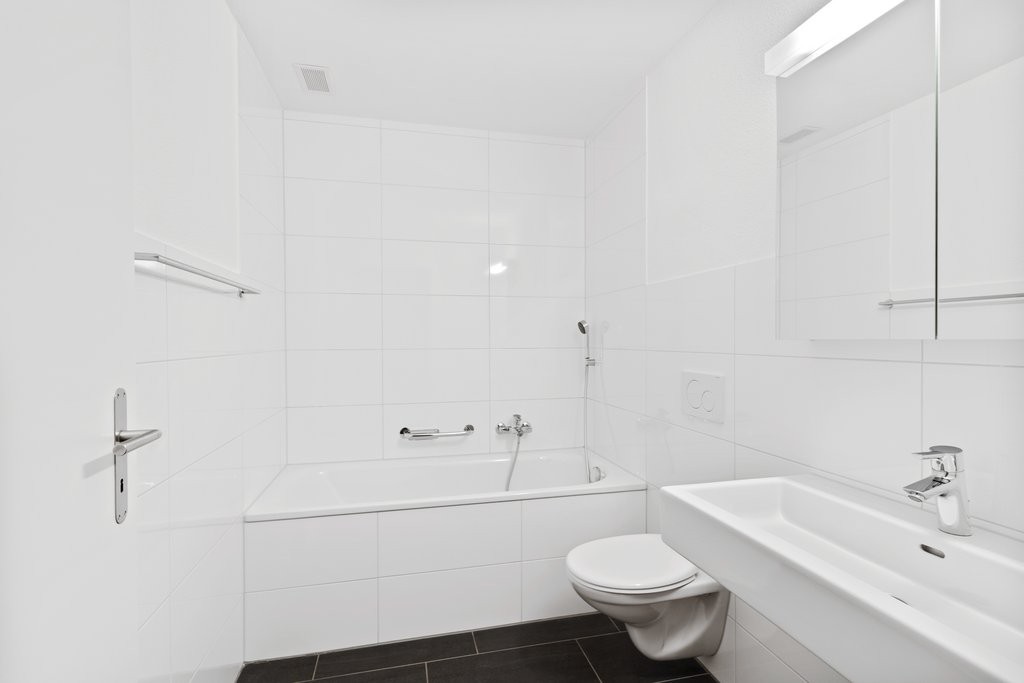 4 ½ rooms apartment (8)
