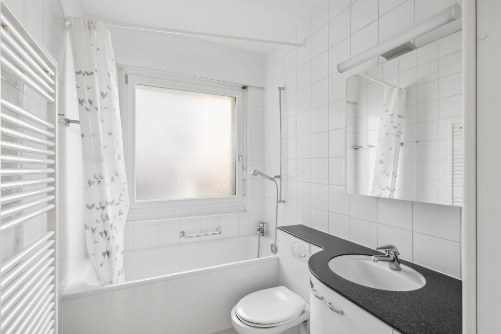 3 ½ rooms apartment (3)