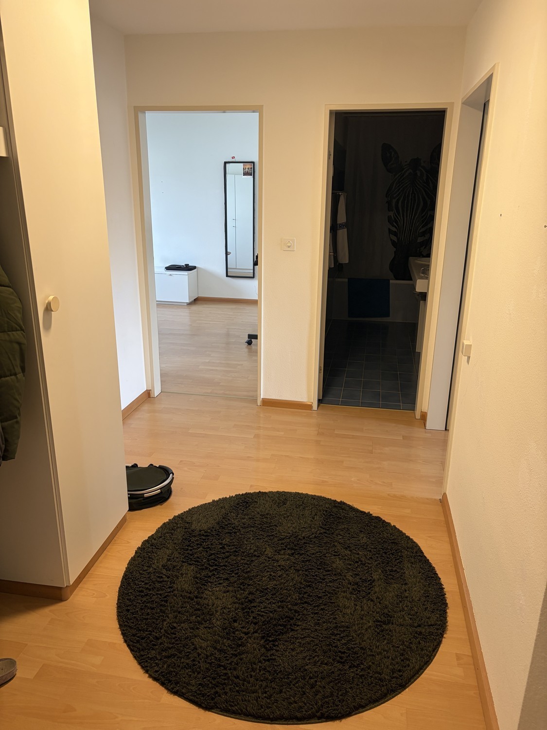 Room in a shared flat