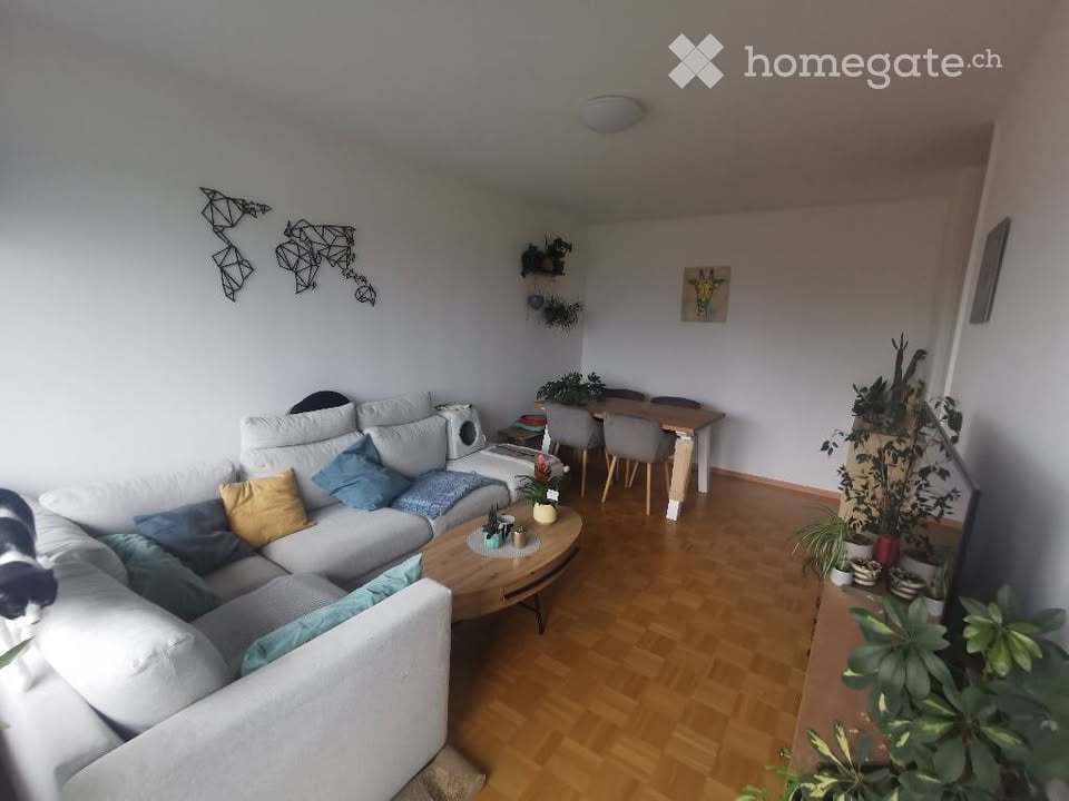 3 rooms apartment
