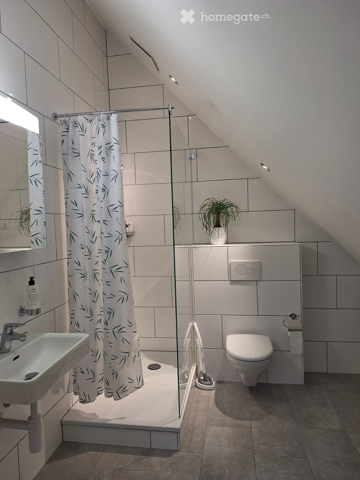 2 ½ rooms apartment