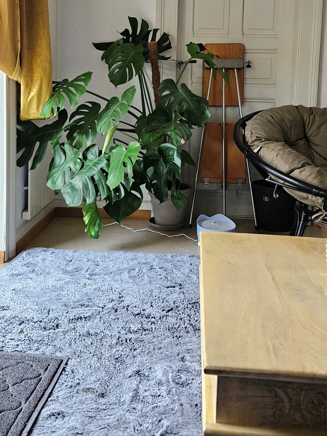 Room in a shared flat, Foto 2 von 8