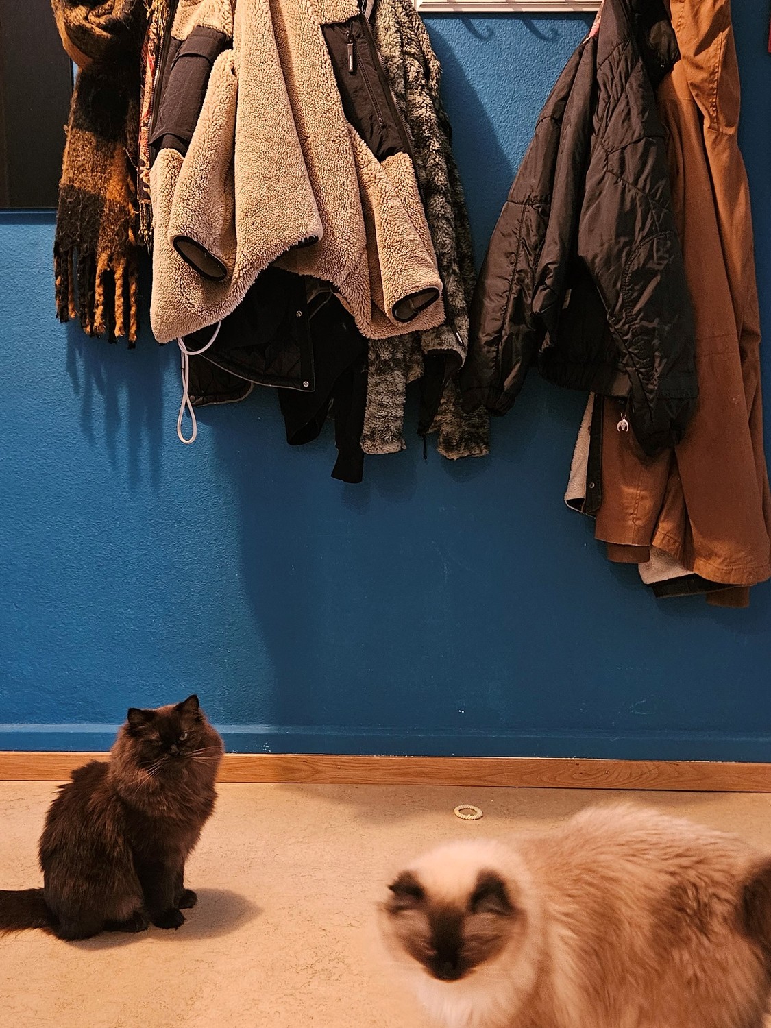 Room in a shared flat, Foto 5 von 8