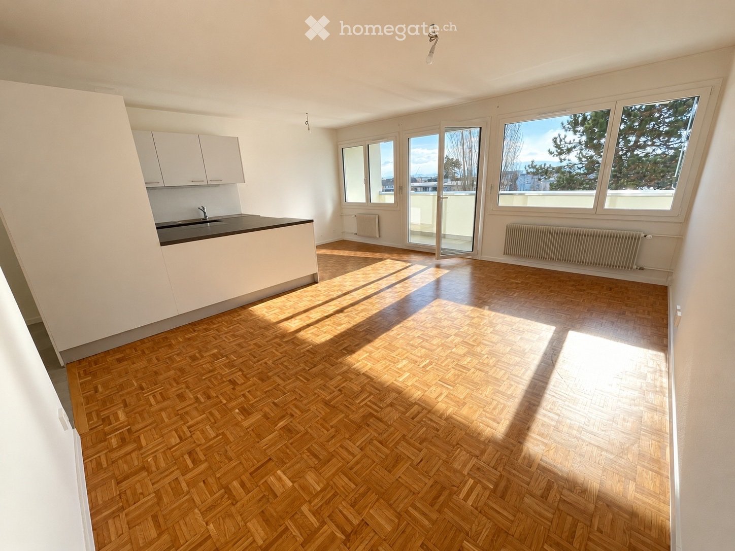 4 ½ Zimmer Wohnung