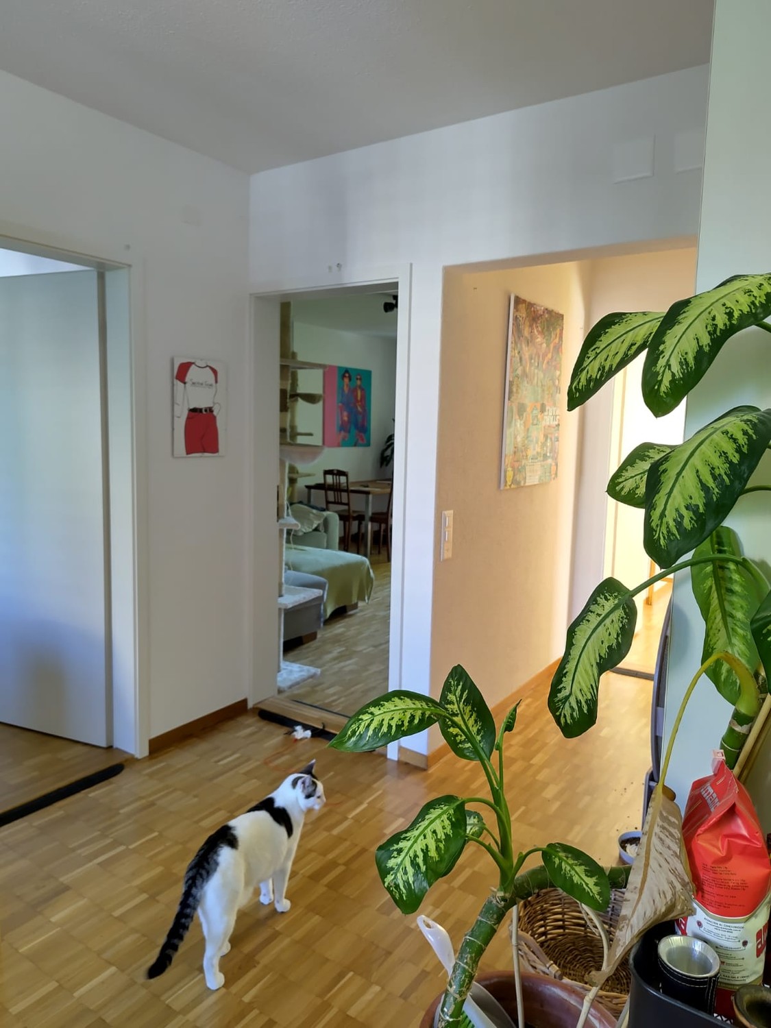 Zimmer in einer WG
Neuer Mitbewohner für ein zentral gelegenes Zimmer gesucht im Kreis 4. Es ist die perfekte Kombination aus Ruhe und Gelassenheit, während man mitten bei Lochergut, Kalkbreite, Bäckeranlage und Langstrasse ist. So hat man Lidl, Coop und Migros in 5 Min. Gehdistanz.
Das Zimmer ist, Foto 7 von 7