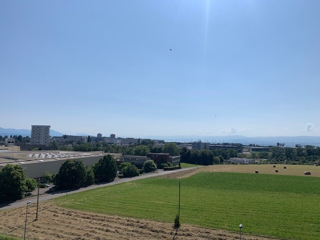 Appartamento di 2 ½ locali