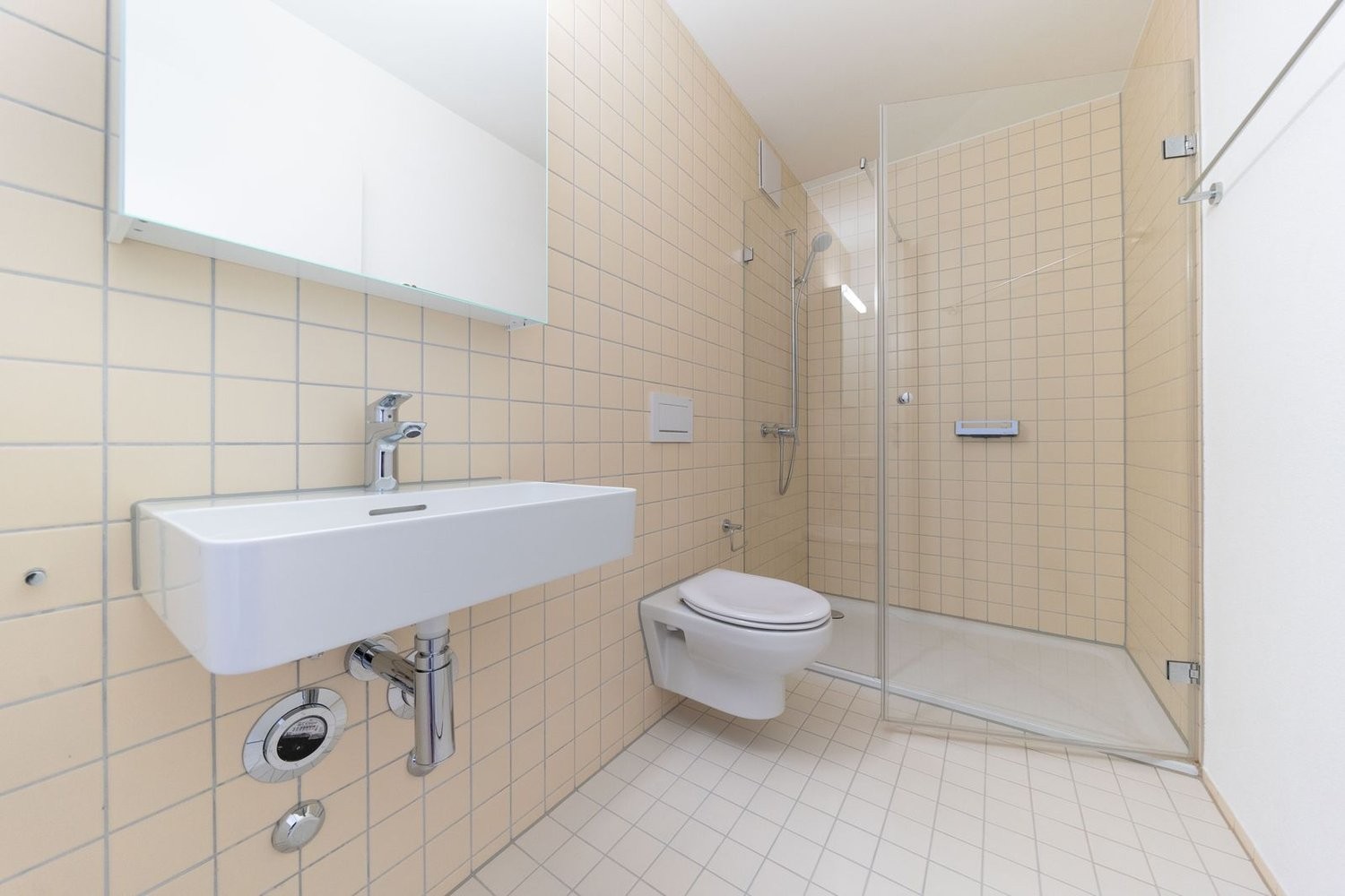 Appartamento di 5 ½ locali
