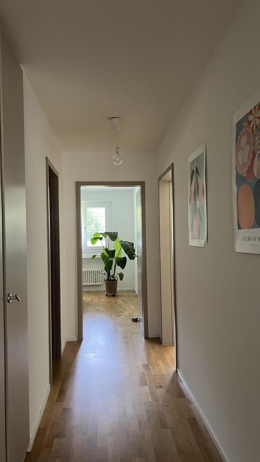 Appartement de 4 ½ pièces, photo 4 sur 9