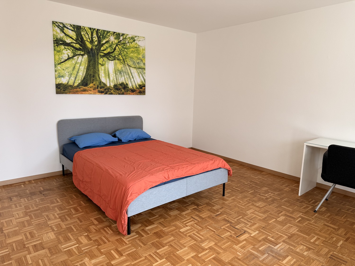 Room in a shared flat