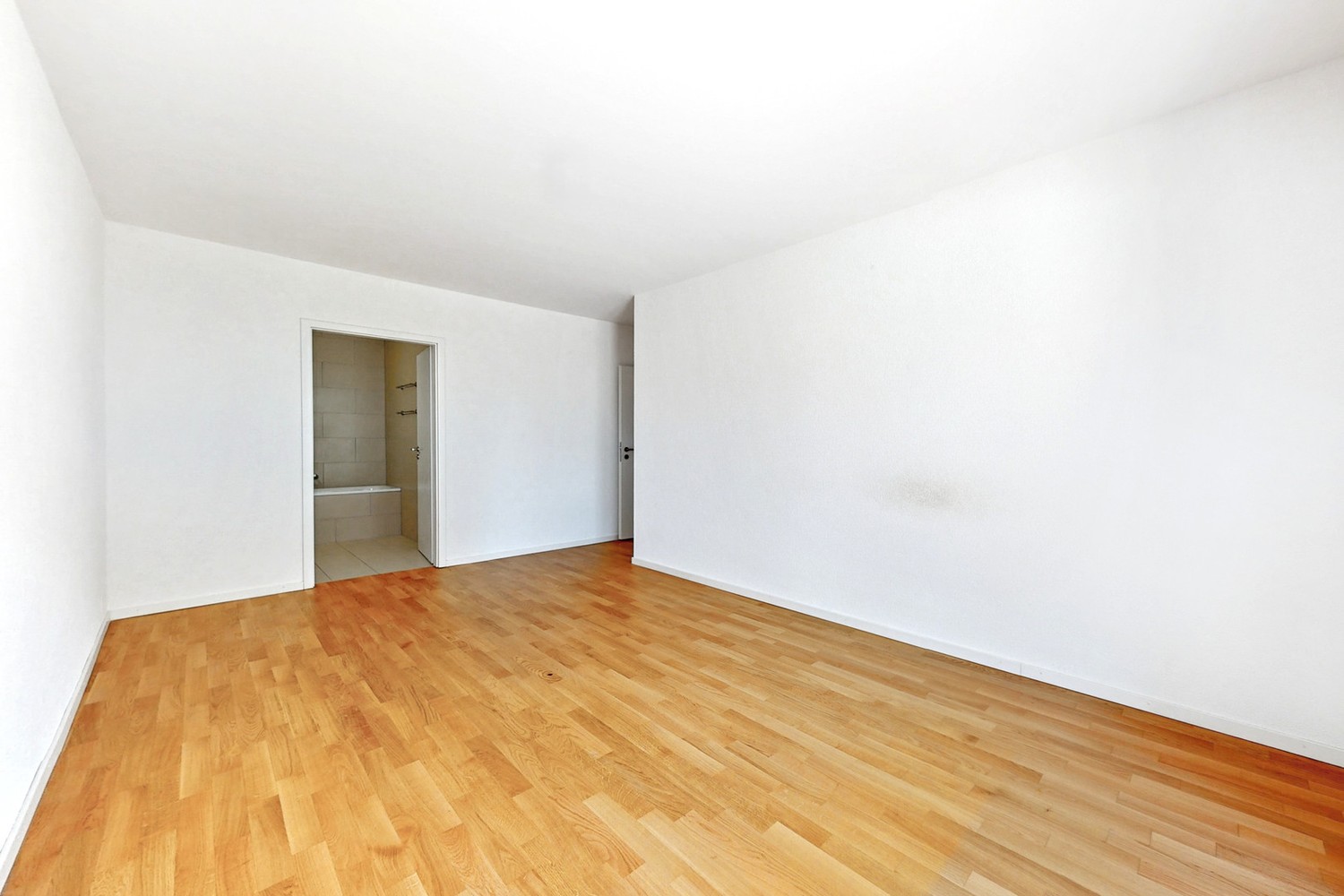 3 ½ rooms apartment, photo 4 sur 6