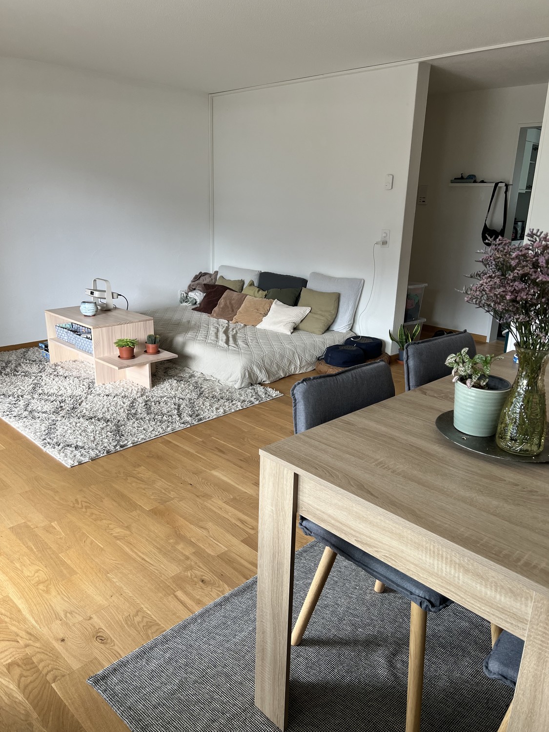 4 ½ rooms apartment