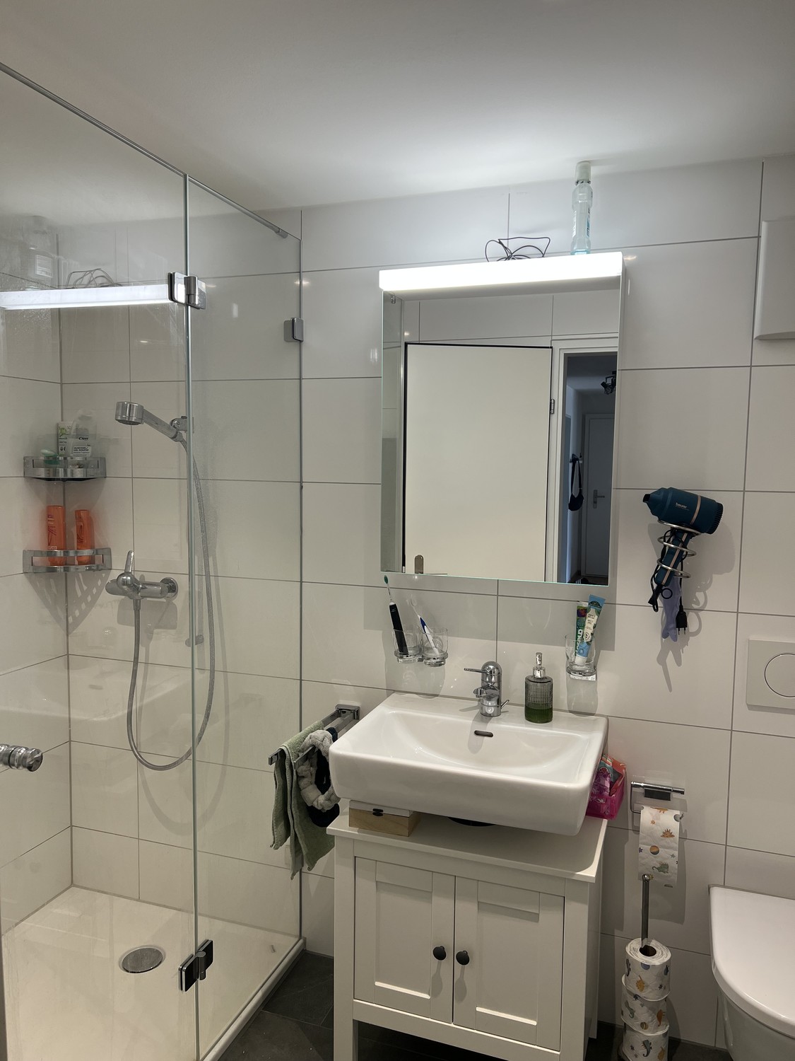 4 ½ rooms apartment