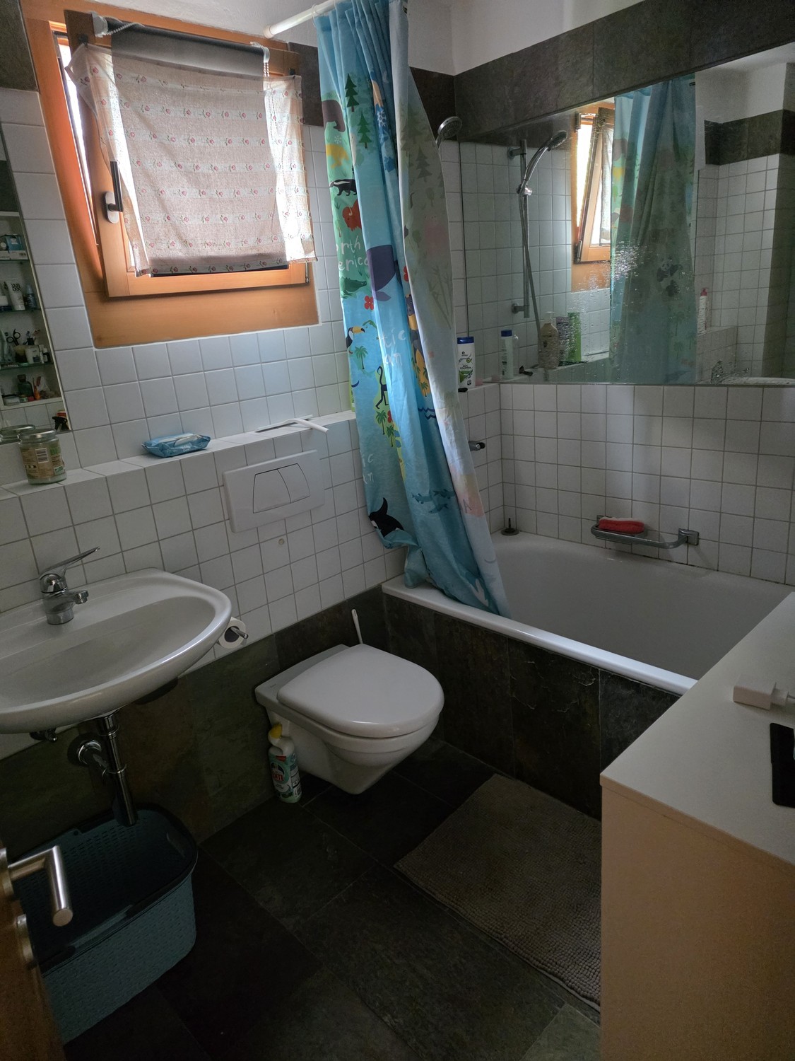 Appartement de 2 ½ pièces
