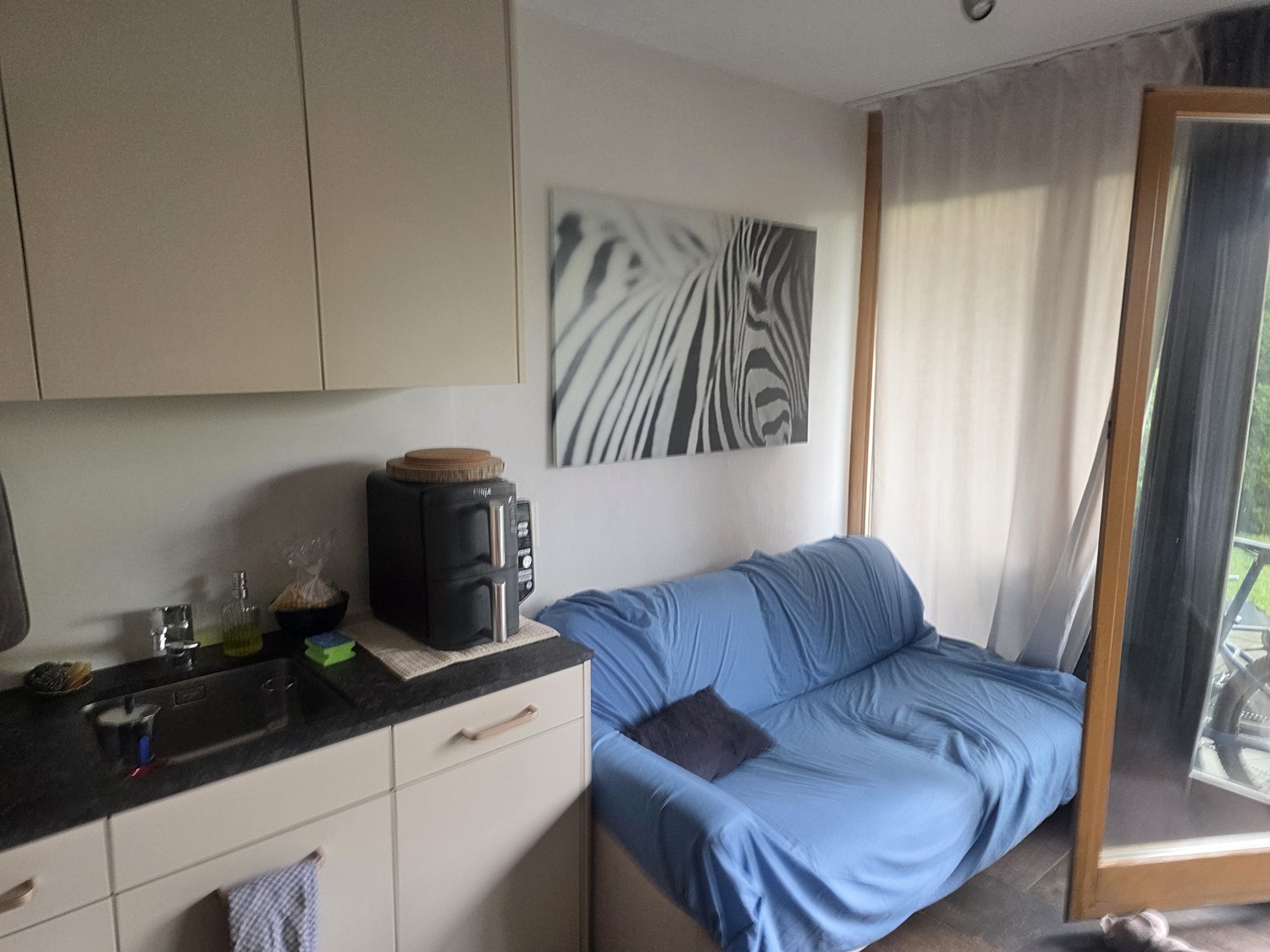 Appartement de 2 ½ pièces