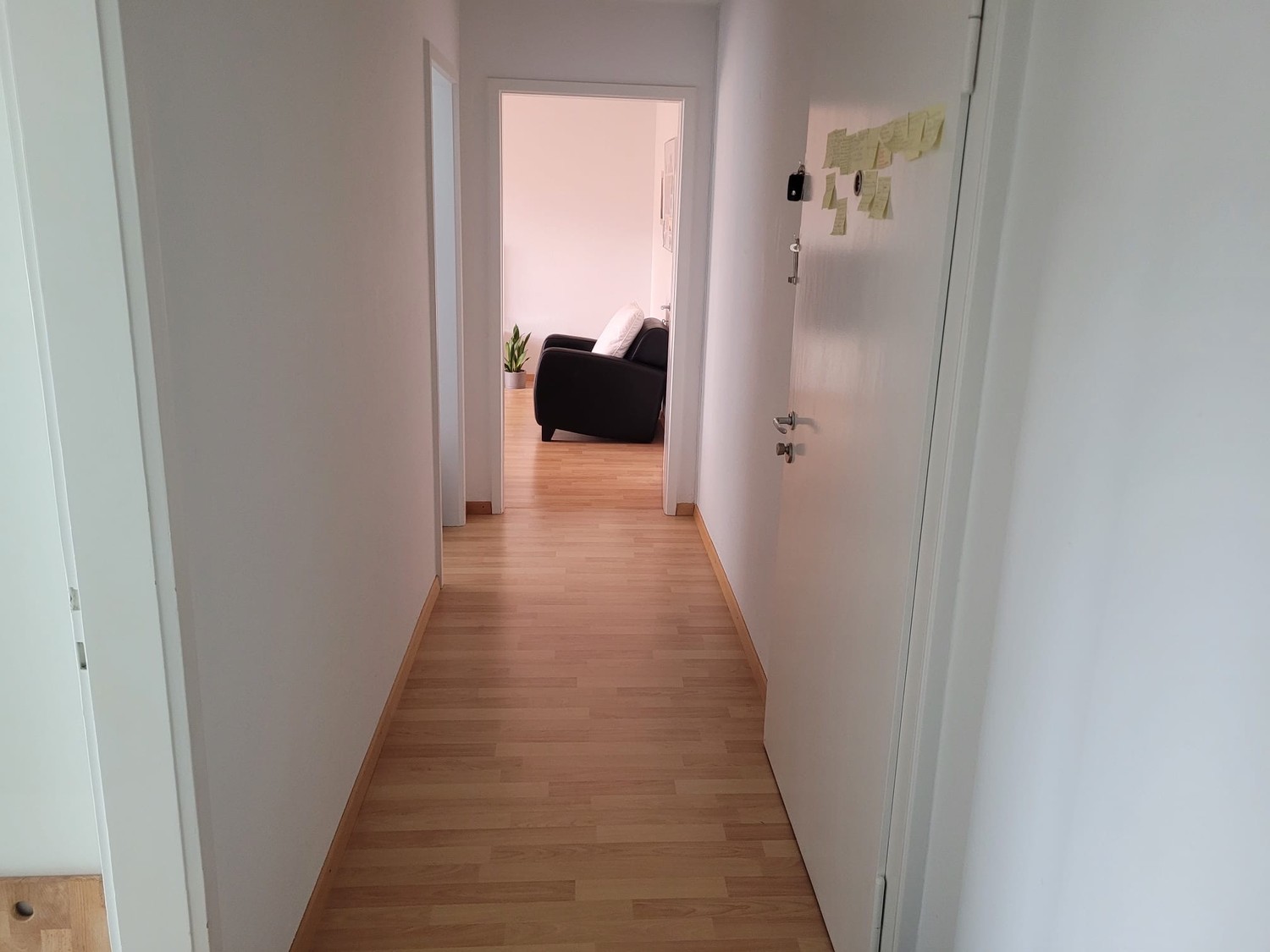 1 rooms apartment
