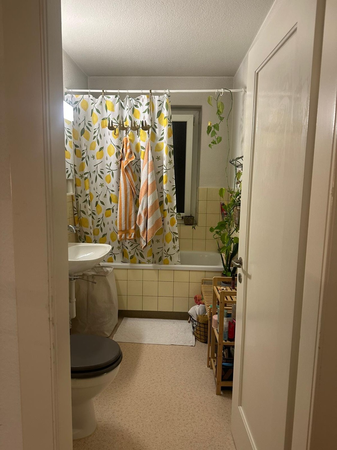 Chambre dans une colocation, photo 5 sur 10