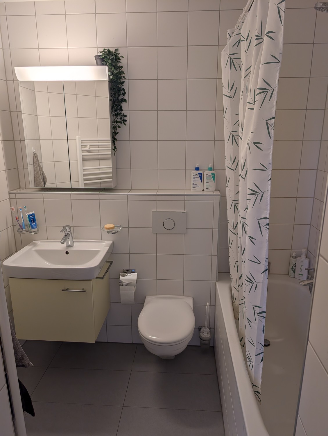 2 ½ rooms apartment
