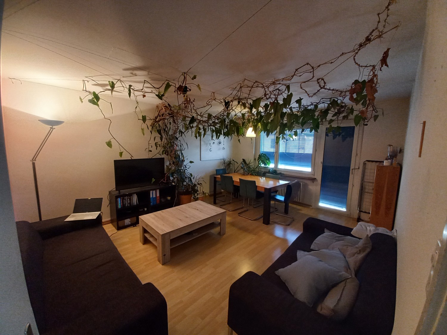 Room in a shared flat, Foto 4 von 6
