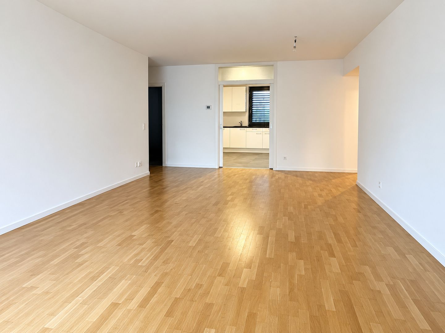 3 ½ Zimmer Wohnung