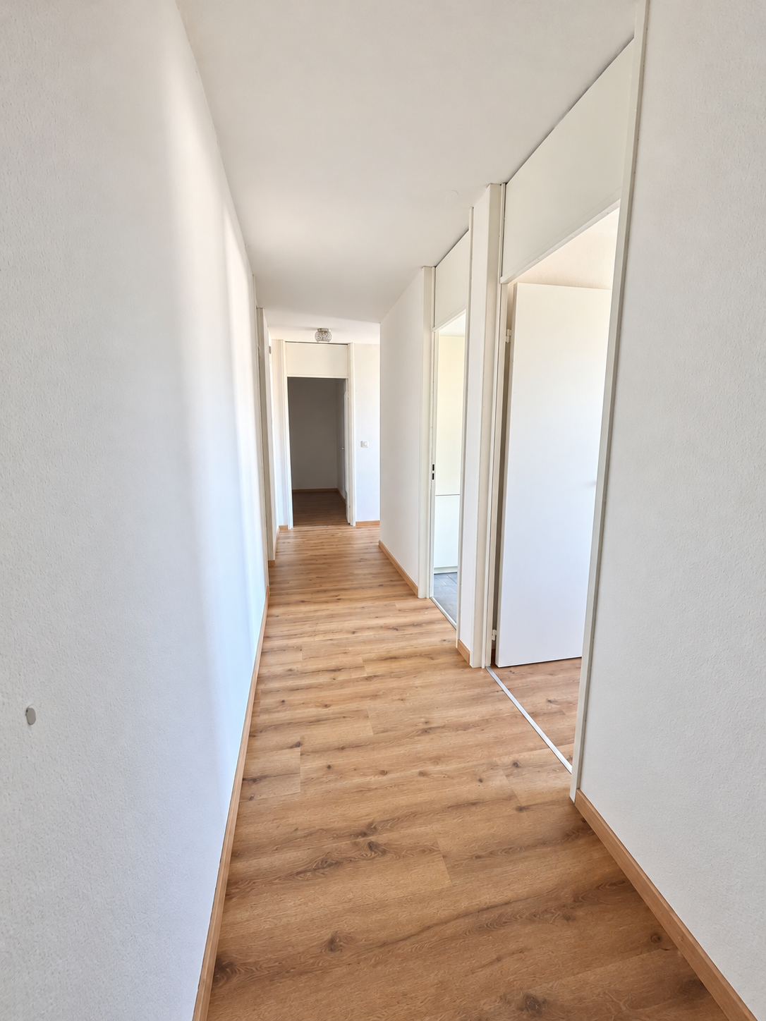 Appartement de 2 ½ pièces